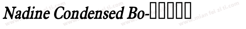 Nadine Condensed Bo字体转换